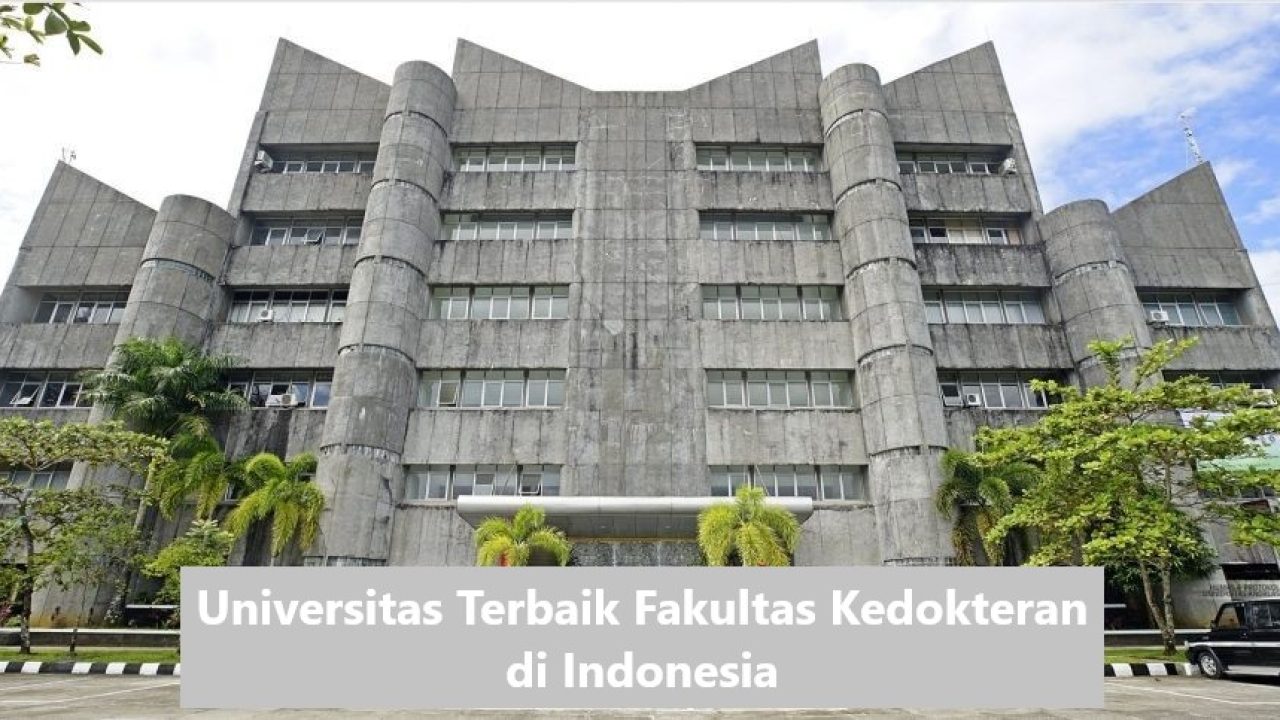 https://www.bpbd-jatim.com/universitas-negeri-semarang-unnes-informasi-kampus/